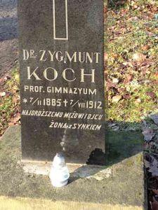 GRABSTEIN - Zygmunt Koch